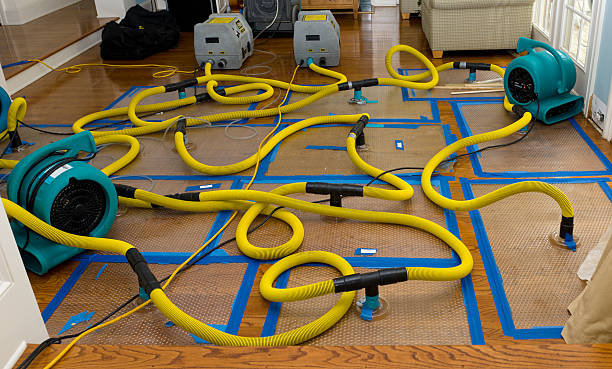 Professional Structural Drying And Dehumidification technician working in Bates City, MO